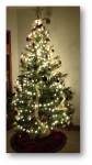 Christmas Tree 2012